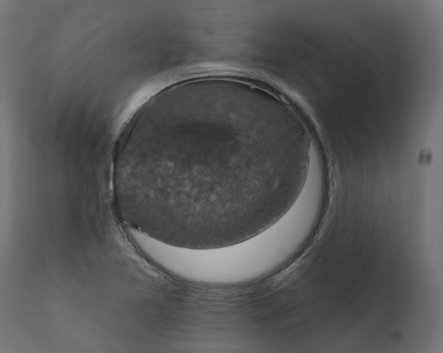 X0000111521365200907281328