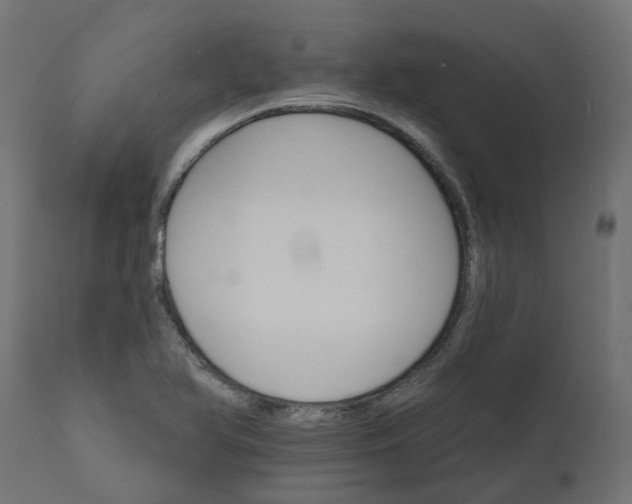 X0000111521366200907281328