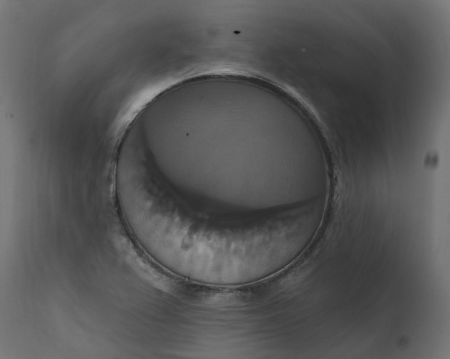 X0000111521367200907281328
