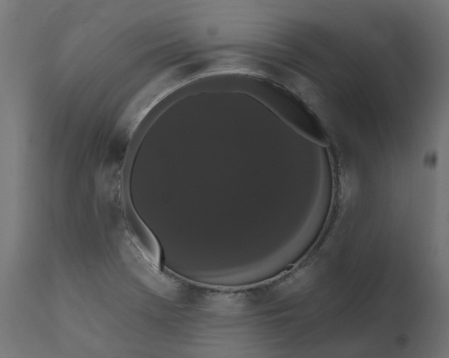 X0000111521369200907281328