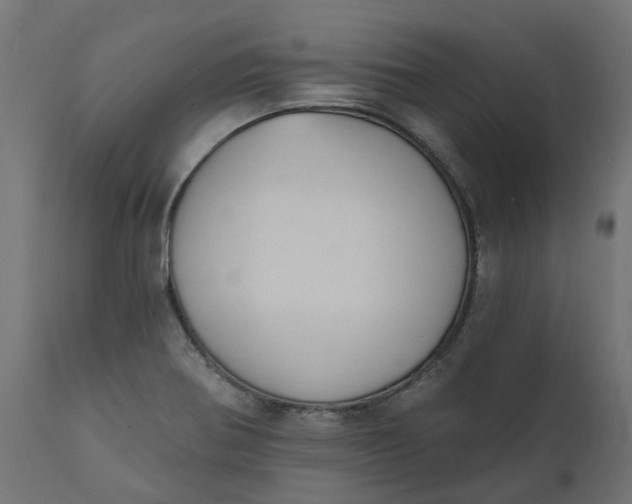 X0000111521370200907281328