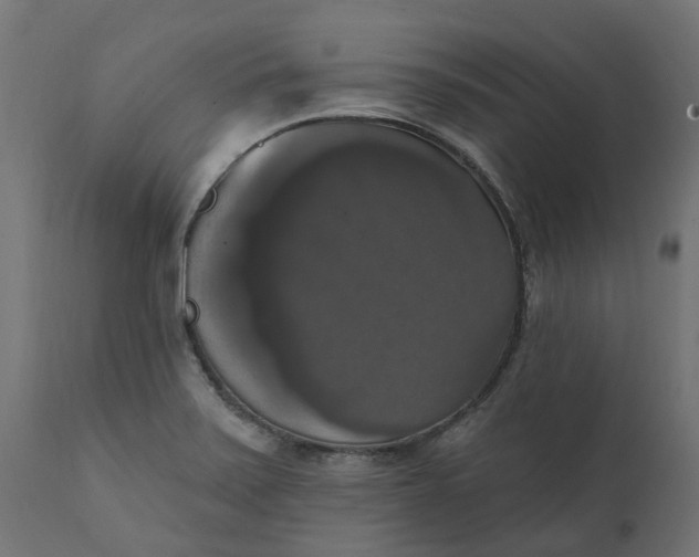 X0000111521371200907281328