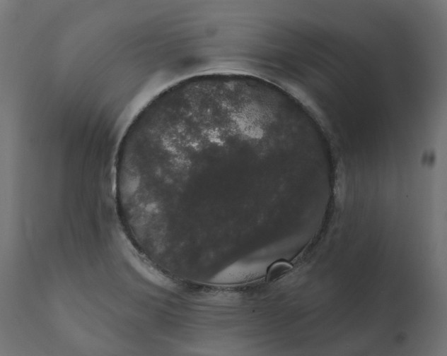 X0000111521372200907281328