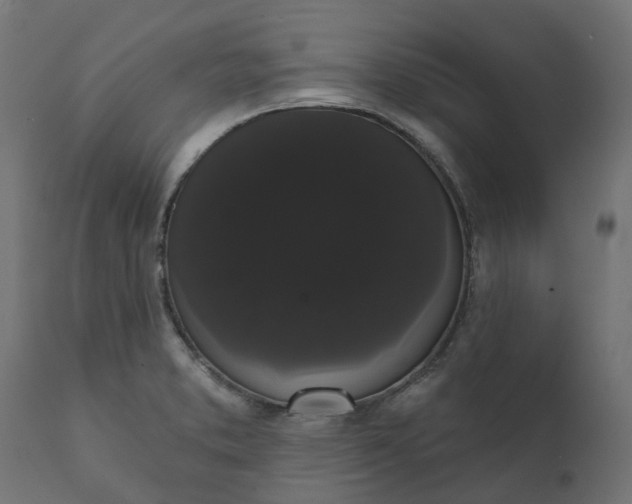 X0000111521373200907281328