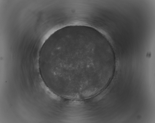 X0000111521374200907281328