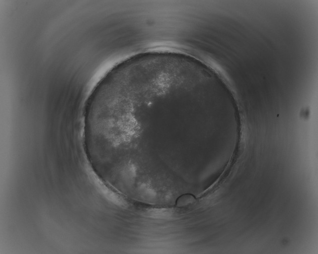 X0000111521376200907281328