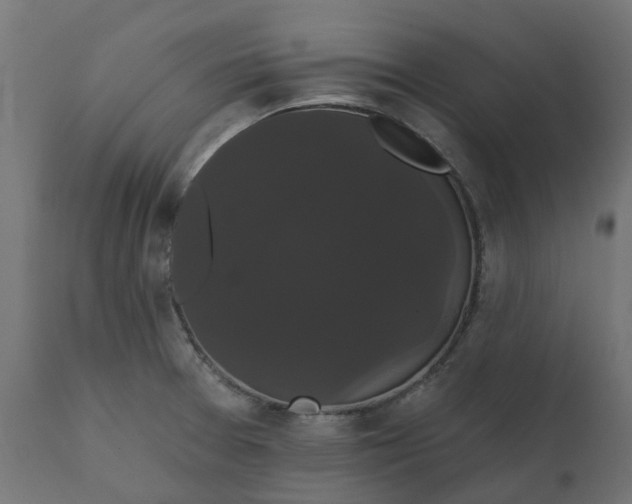 X0000111521377200907281328