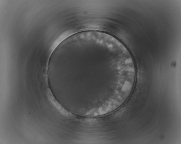 X0000111521378200907281328