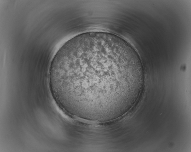 X0000111521379200907281328