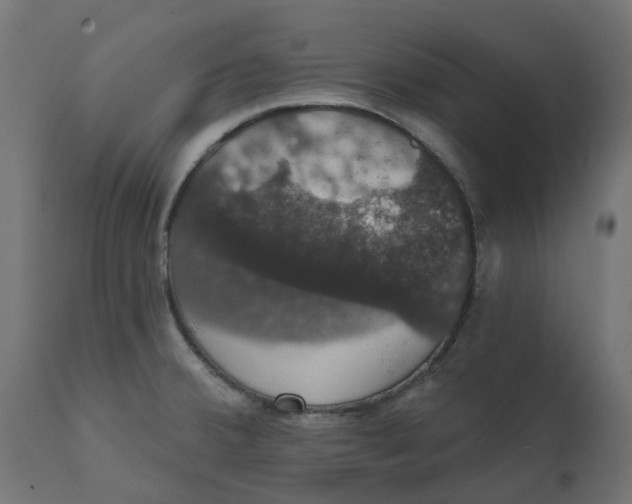 X0000111521380200907281328