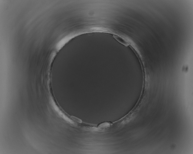 X0000111521381200907281328