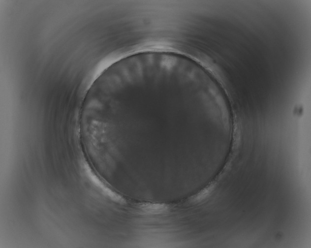 X0000111521382200907281328
