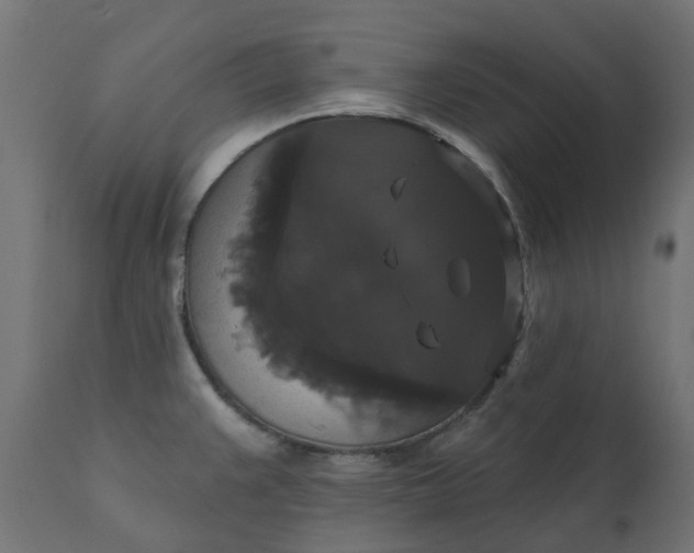 X0000111521383200907281328