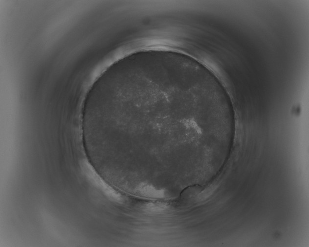 X0000111521384200907281328