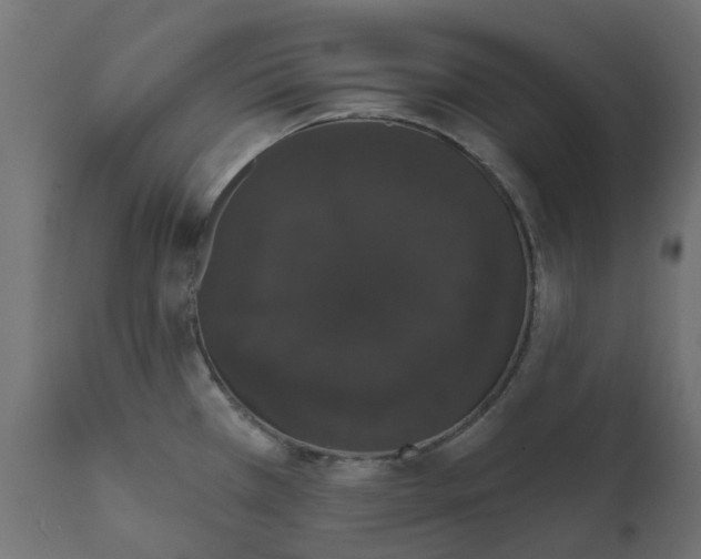 X0000111521385200907281328