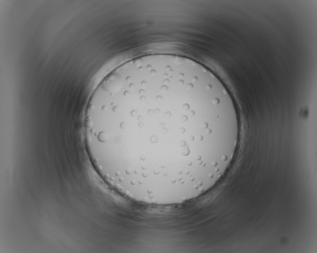 X0000111521386200907281328