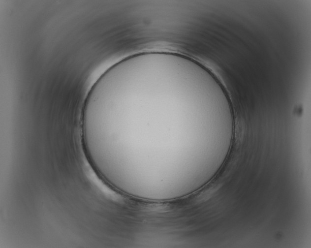 X0000111521387200907281328
