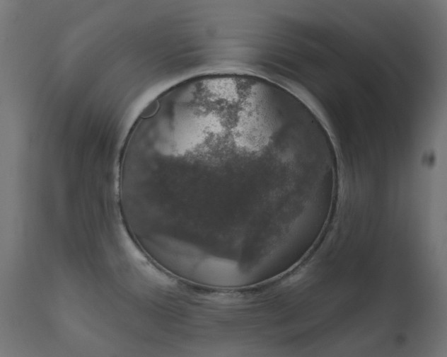 X0000111521388200907281328