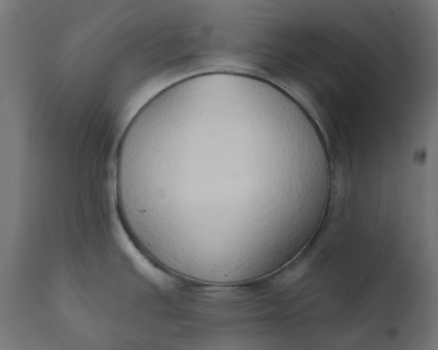 X0000111521391200907281328