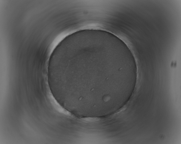 X0000111521392200907281328