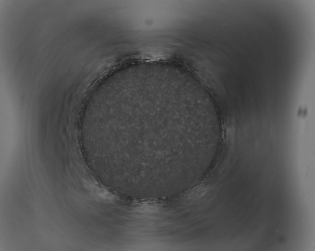 X0000111521393200907281327