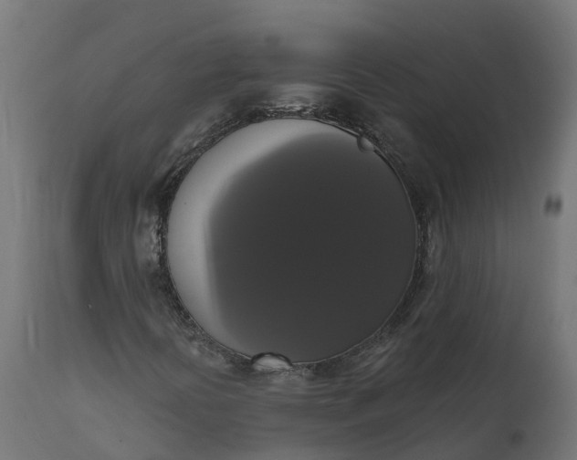 X0000111521394200907281327