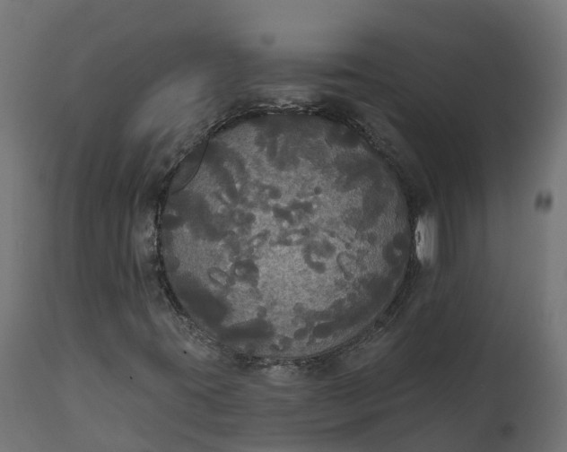 X0000111521395200907281327