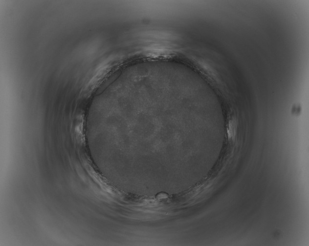 X0000111521396200907281327