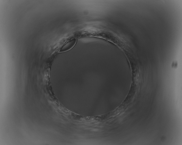 X0000111521397200907281327