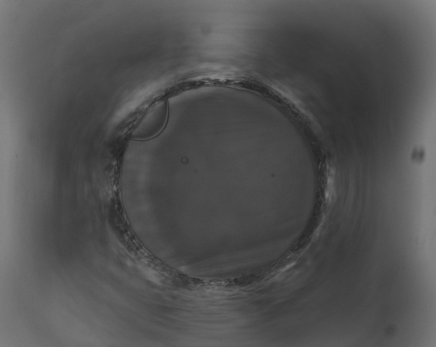 X0000111521399200907281327