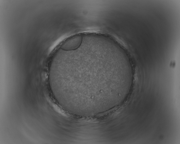 X0000111521400200907281327