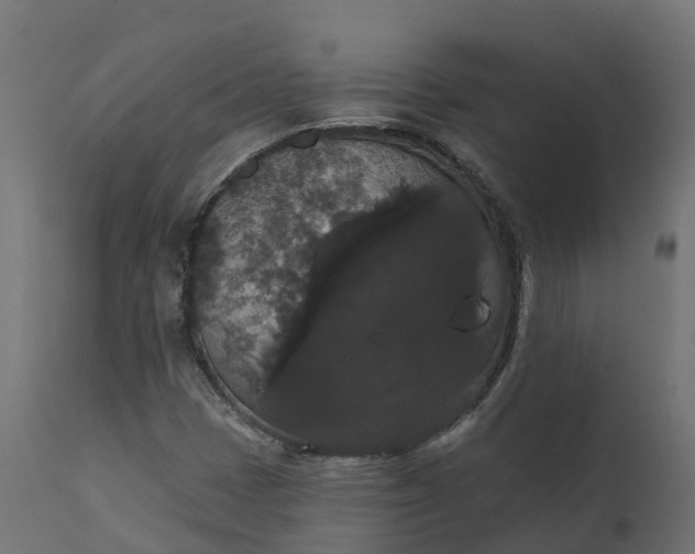 X0000111521401200907281327