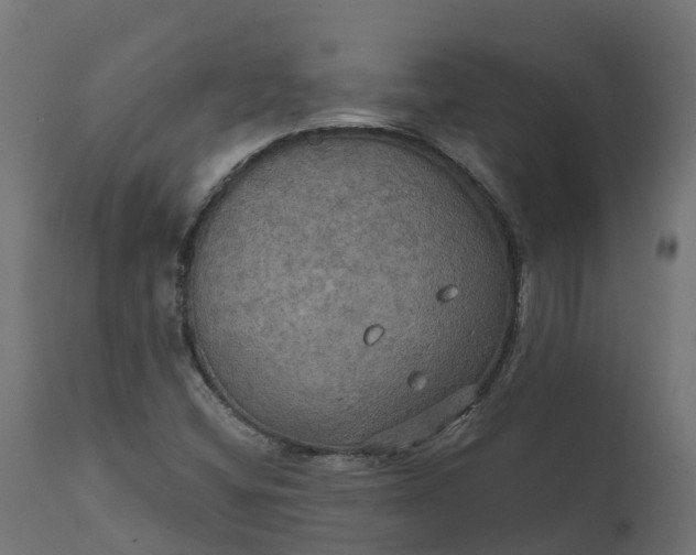 X0000111521404200907281327