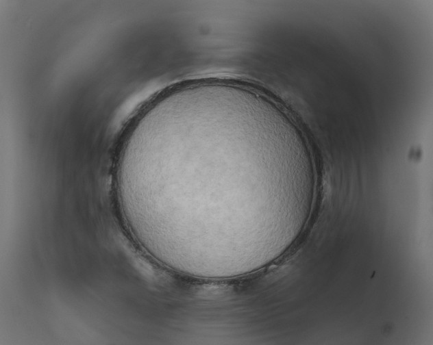 X0000111521406200907281327