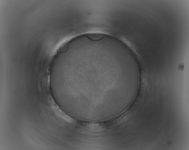 X0000111521408200907281327