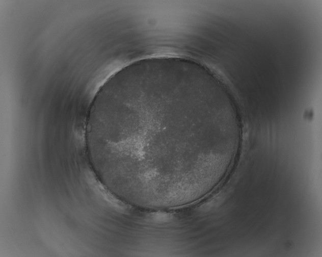 X0000111521409200907281327