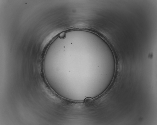 X0000111521410200907281327