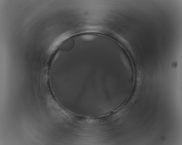 X0000111521411200907281327