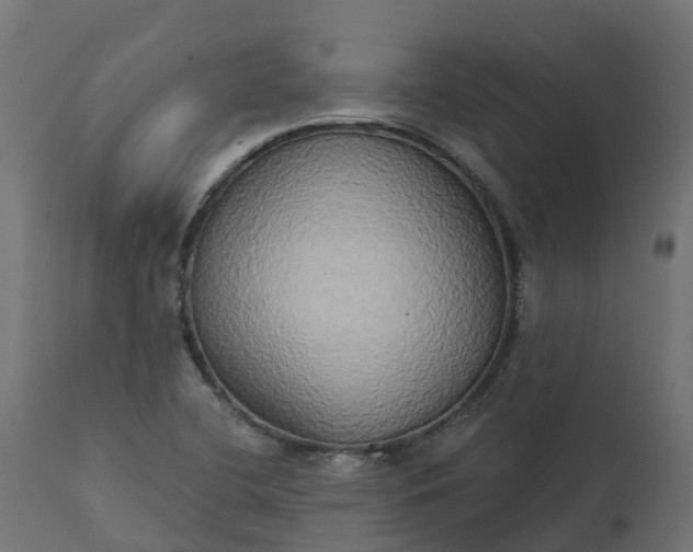 X0000111521412200907281327