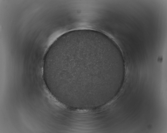 X0000111521415200907281327