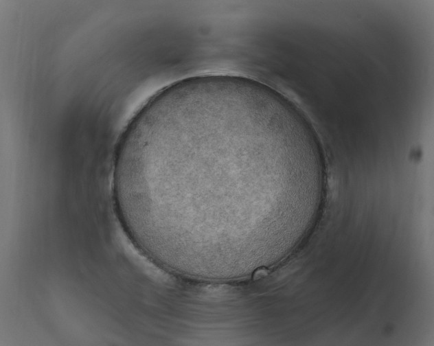 X0000111521416200907281327