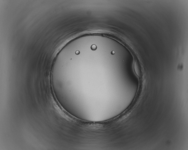 X0000111521417200907281327