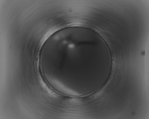 X0000111521418200907281327