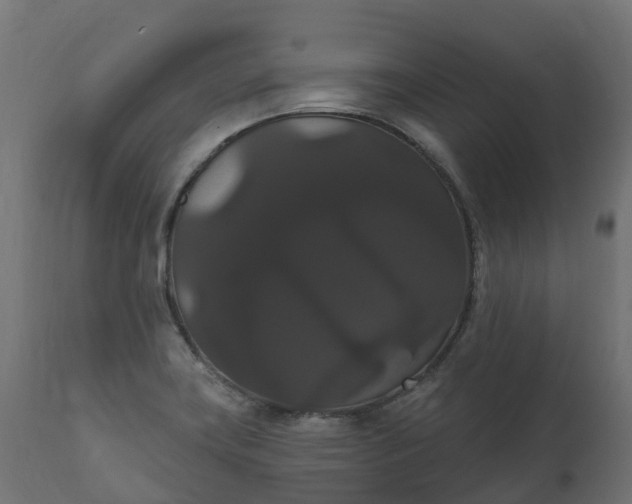 X0000111521419200907281327