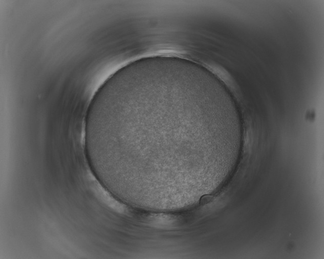 X0000111521420200907281327