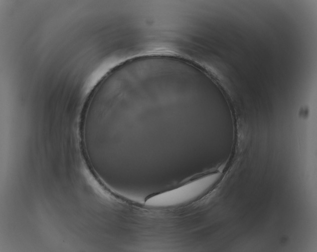 X0000111521422200907281327