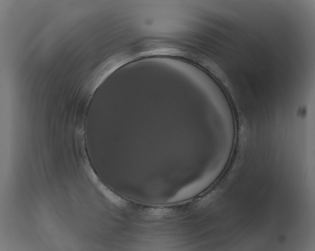 X0000111521425200907281328
