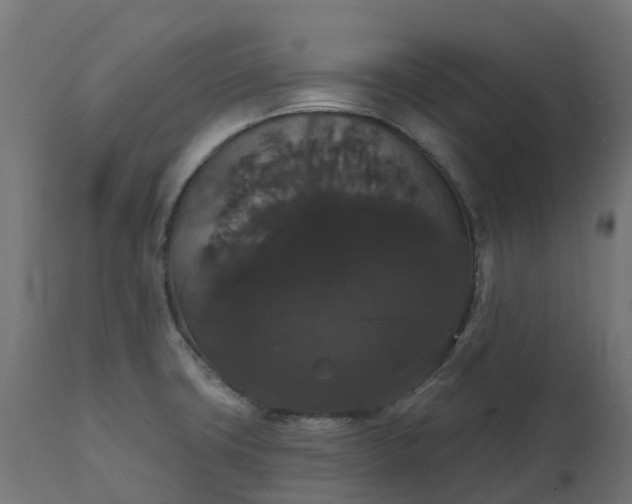 X0000111521427200907281328