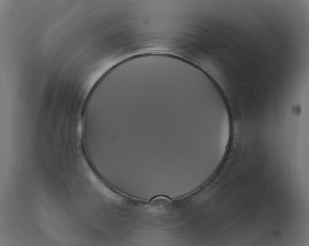 X0000111521428200907281328