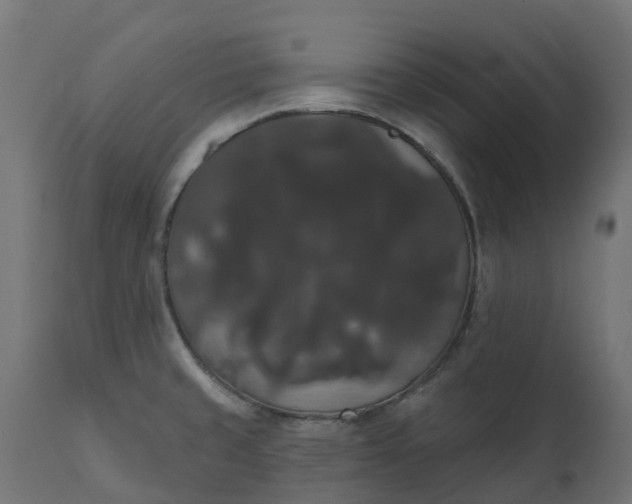 X0000111521429200907281328